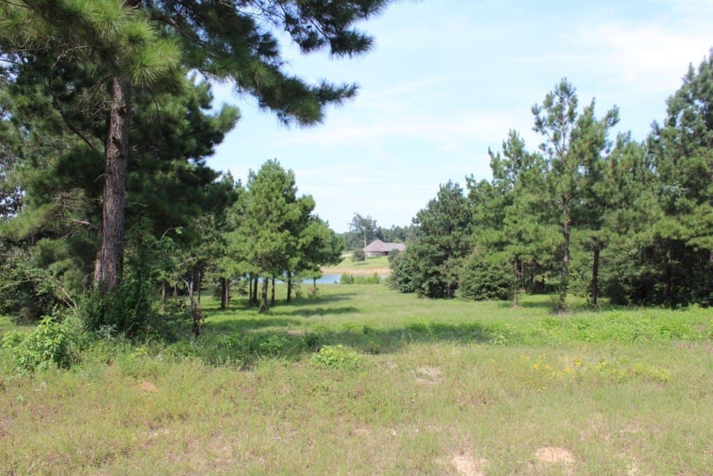 2.12 acres in Texas County - photo 25