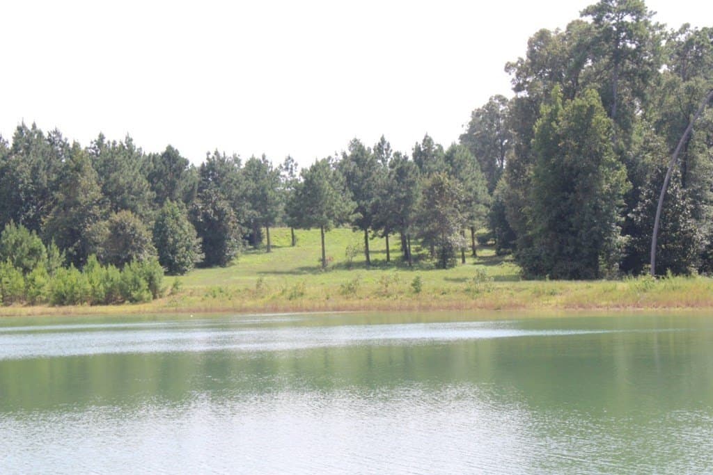 2.12 acres in Texas County - photo 14