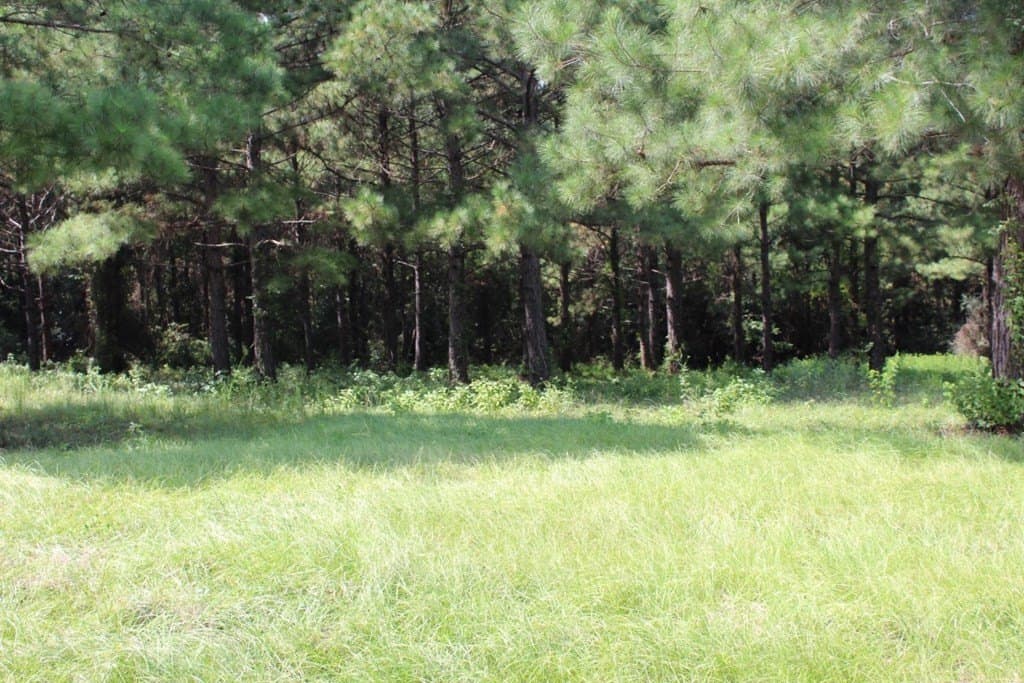 2.12 acres in Texas County - photo 9