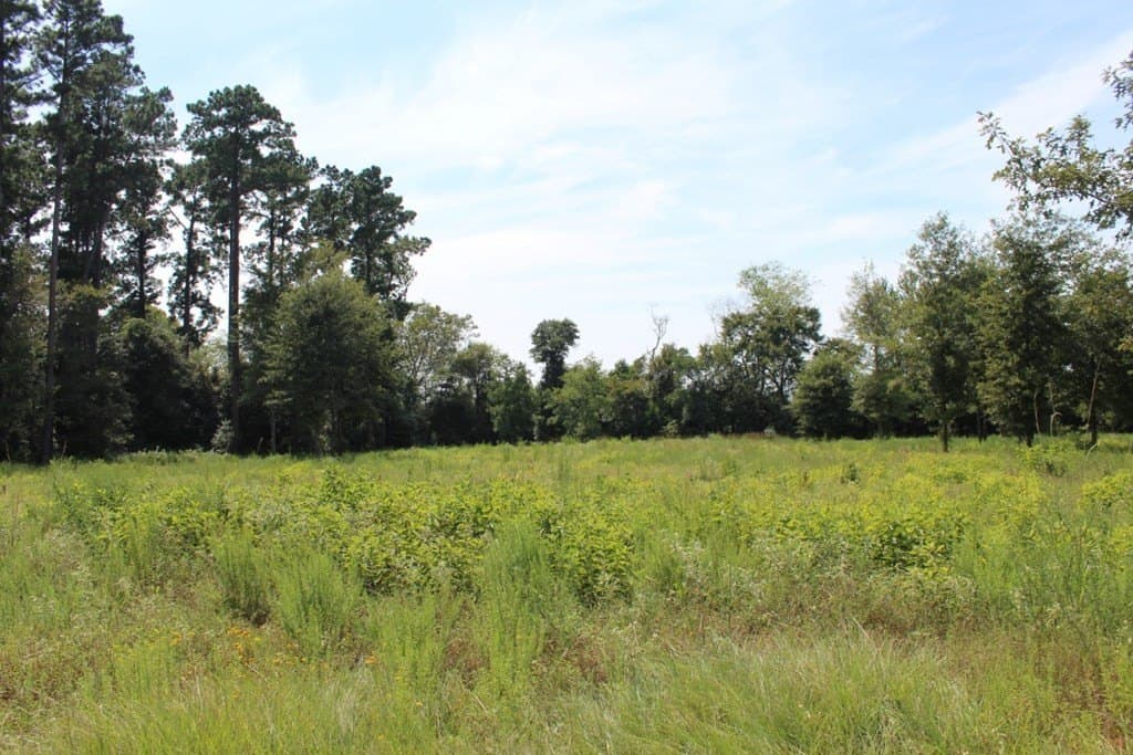 2.12 acres in Texas County - photo 21