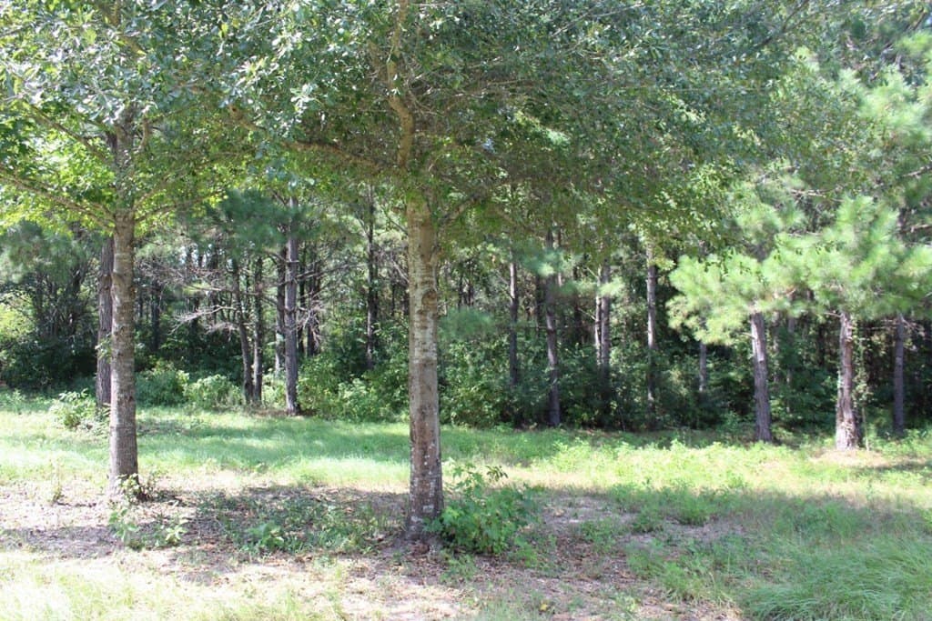 2.12 acres in Texas County - photo 10