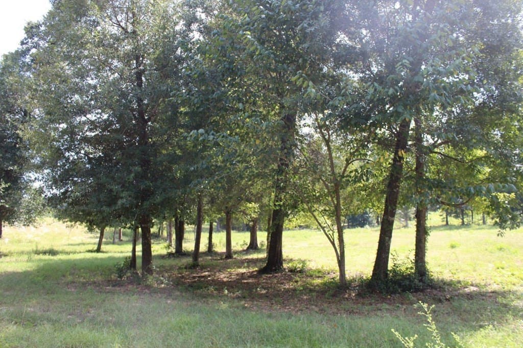 2.12 acres in Texas County - photo 17