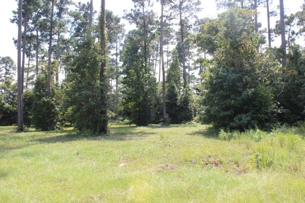 2.12 acres in Texas County - photo 22