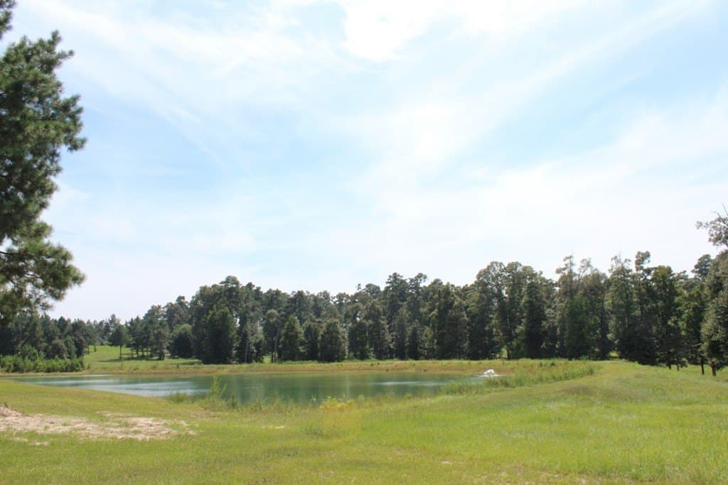 2.12 acres in Texas County - photo 13