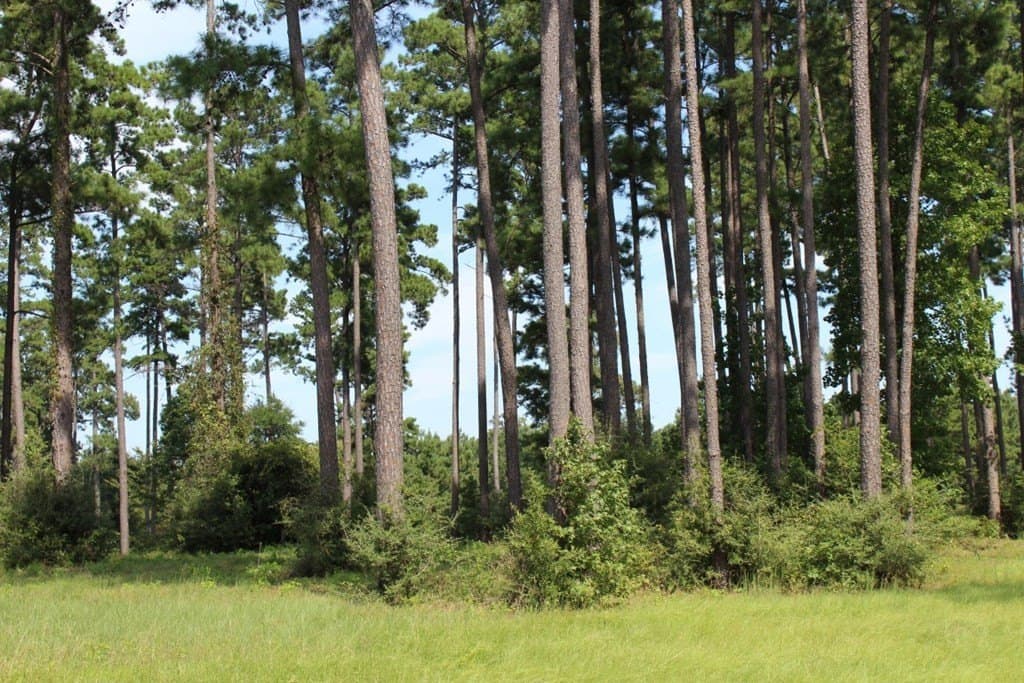 2.12 acres in Texas County - photo 23