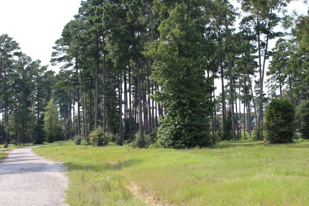 2.12 acres in Texas County - photo 26