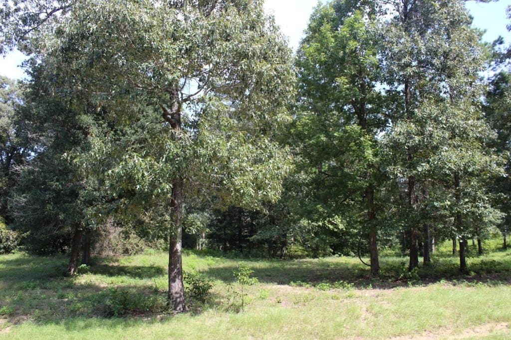 2.12 acres in Texas County - photo 20