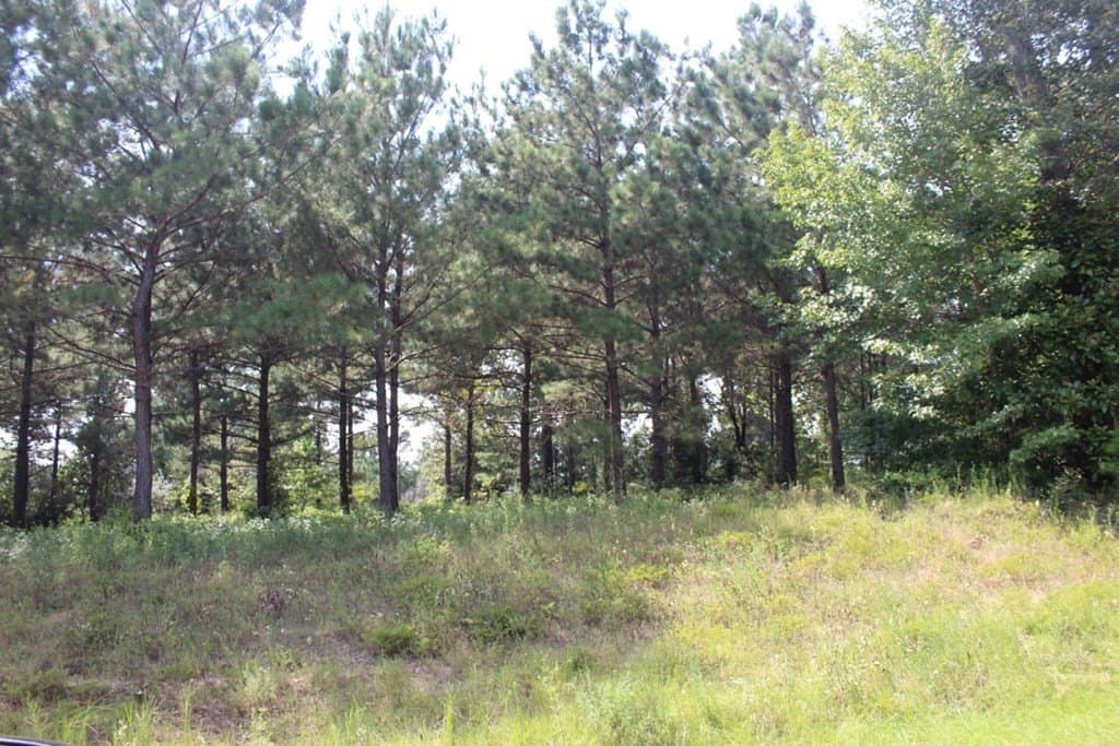 2.12 acres in Texas County - photo 30