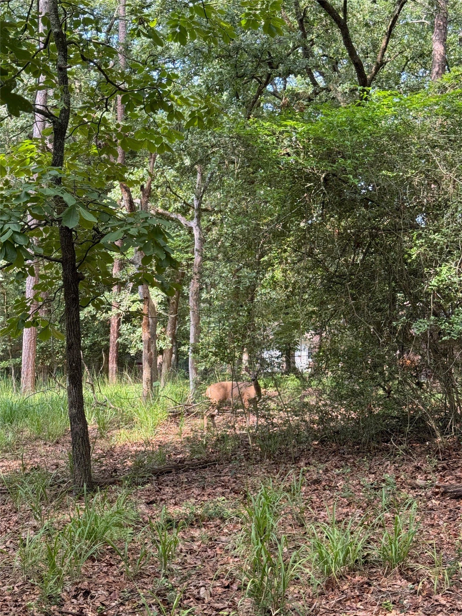 0.52 acres in Wood County featured view