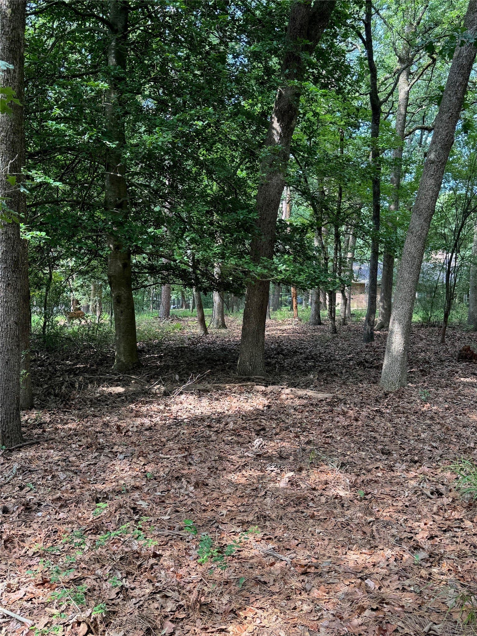 0.52 acres in Wood County - photo 8