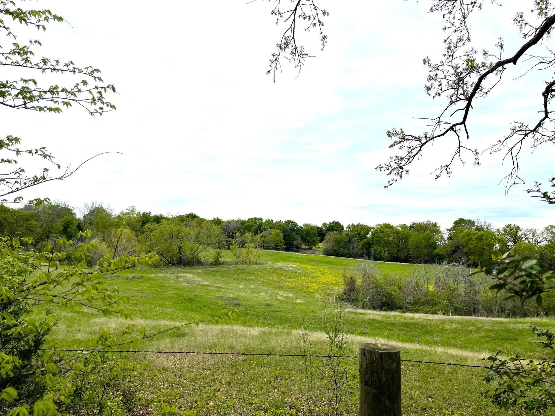 18.11 acres in Freestone County gallery image 3