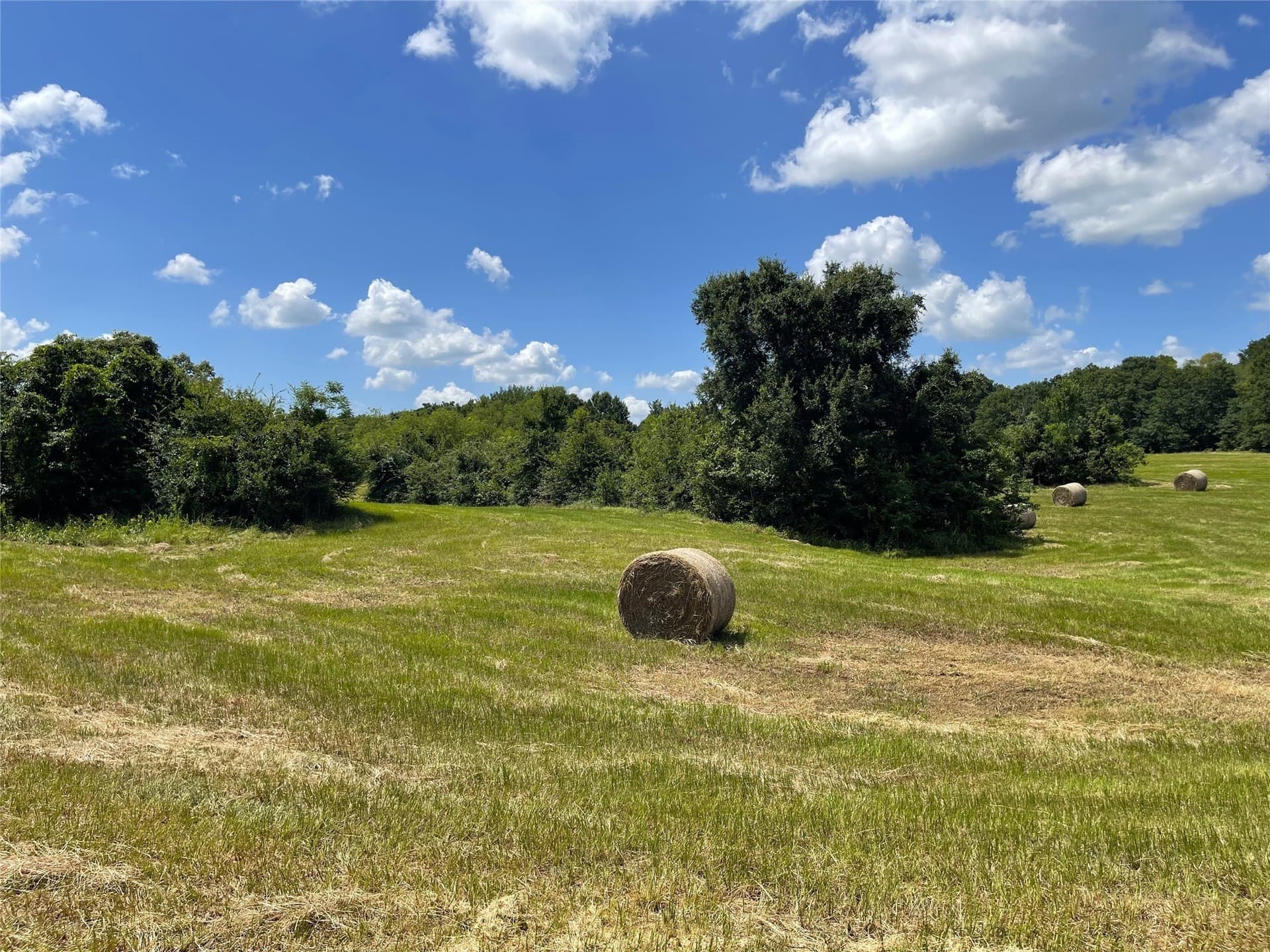 18.11 acres in Freestone County - photo 16