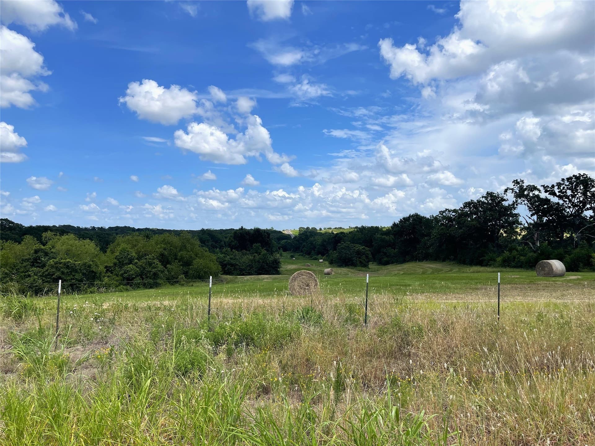 18.11 acres in Freestone County - photo 6
