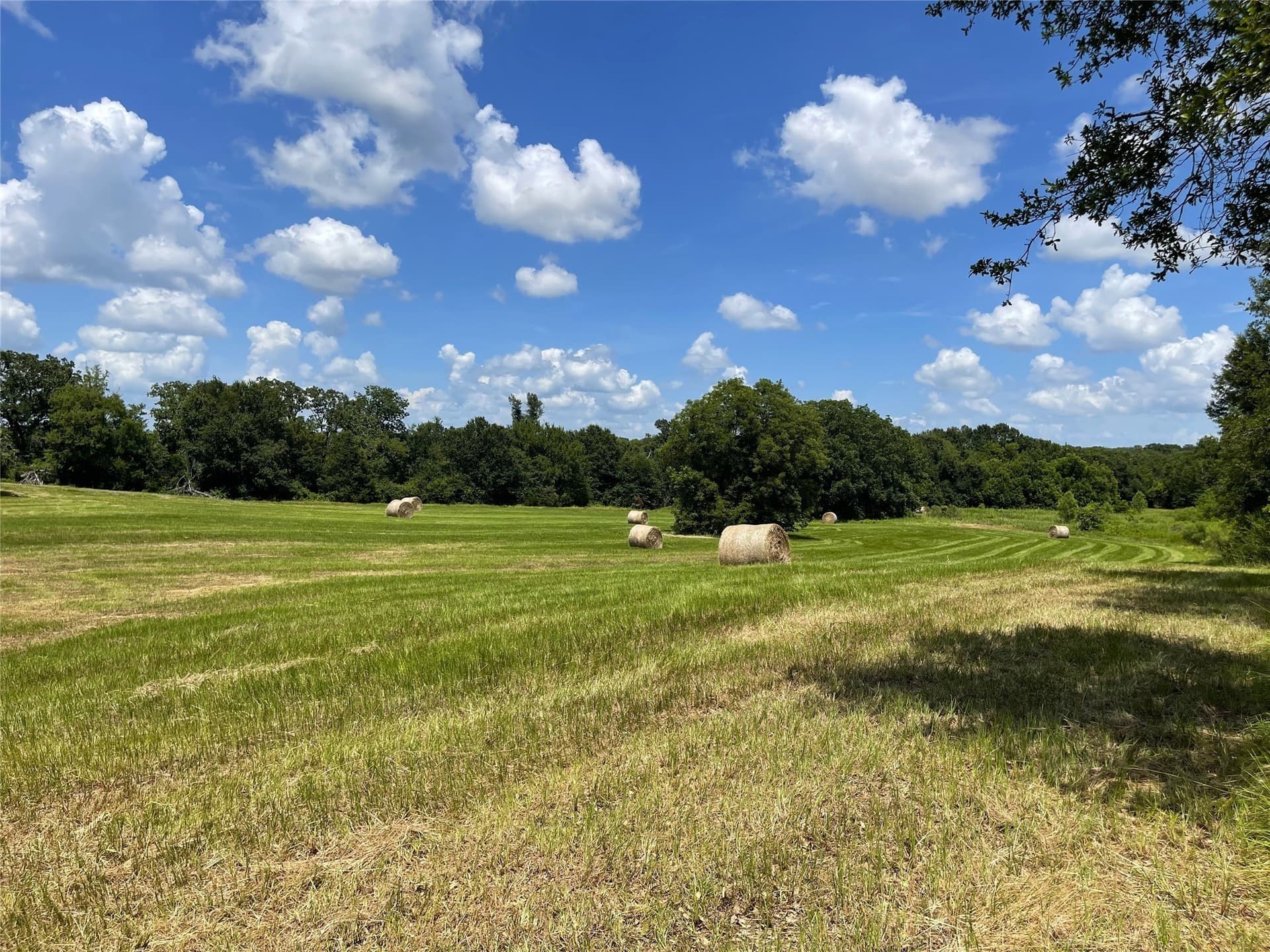 18.11 acres in Freestone County - photo 14