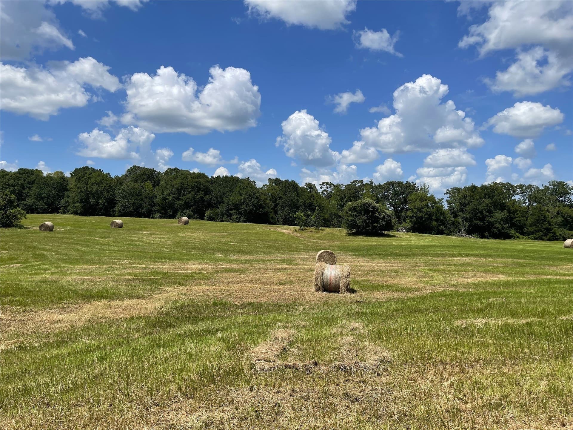 18.11 acres in Freestone County - photo 15