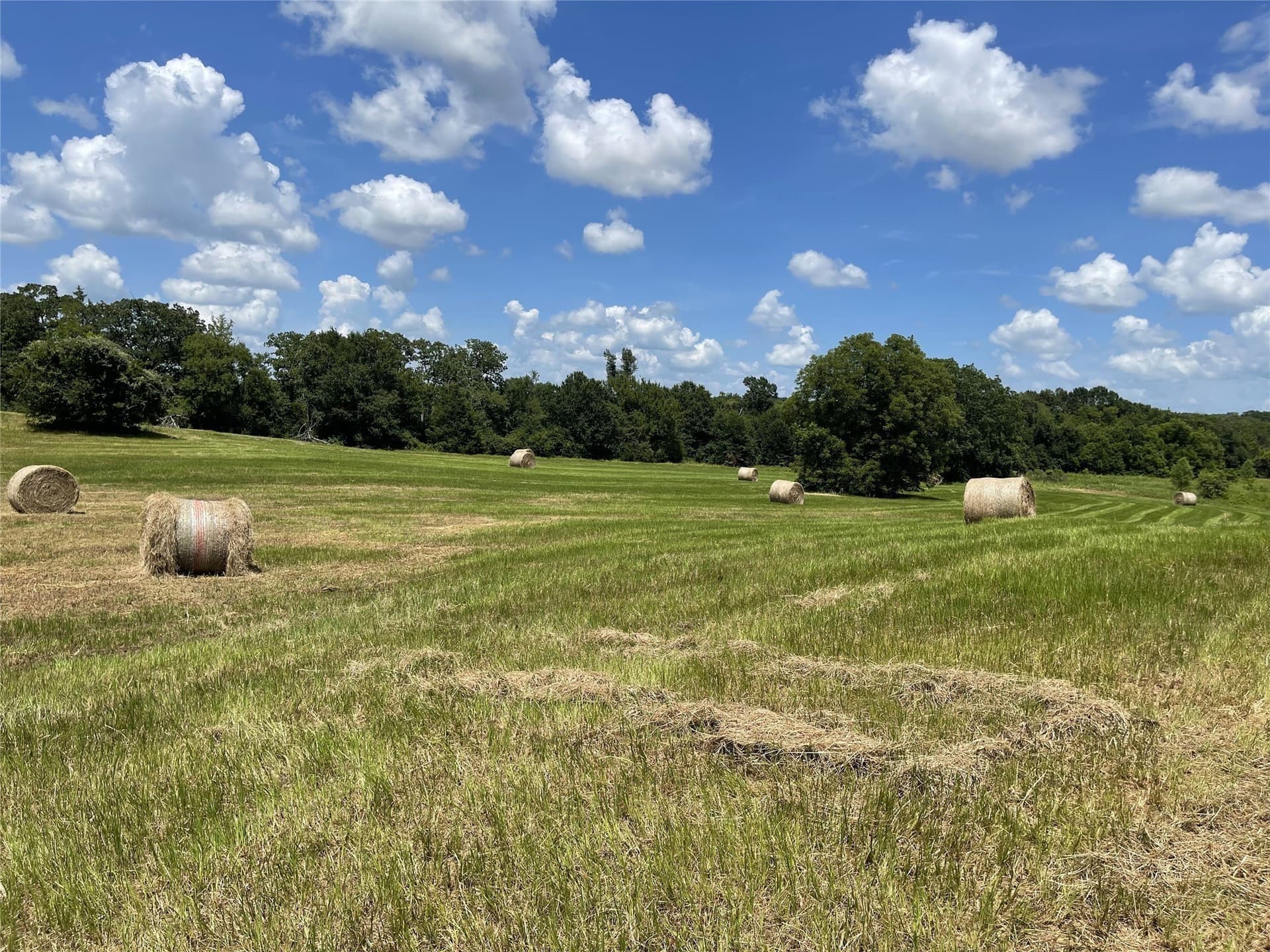 18.11 acres in Freestone County - photo 7