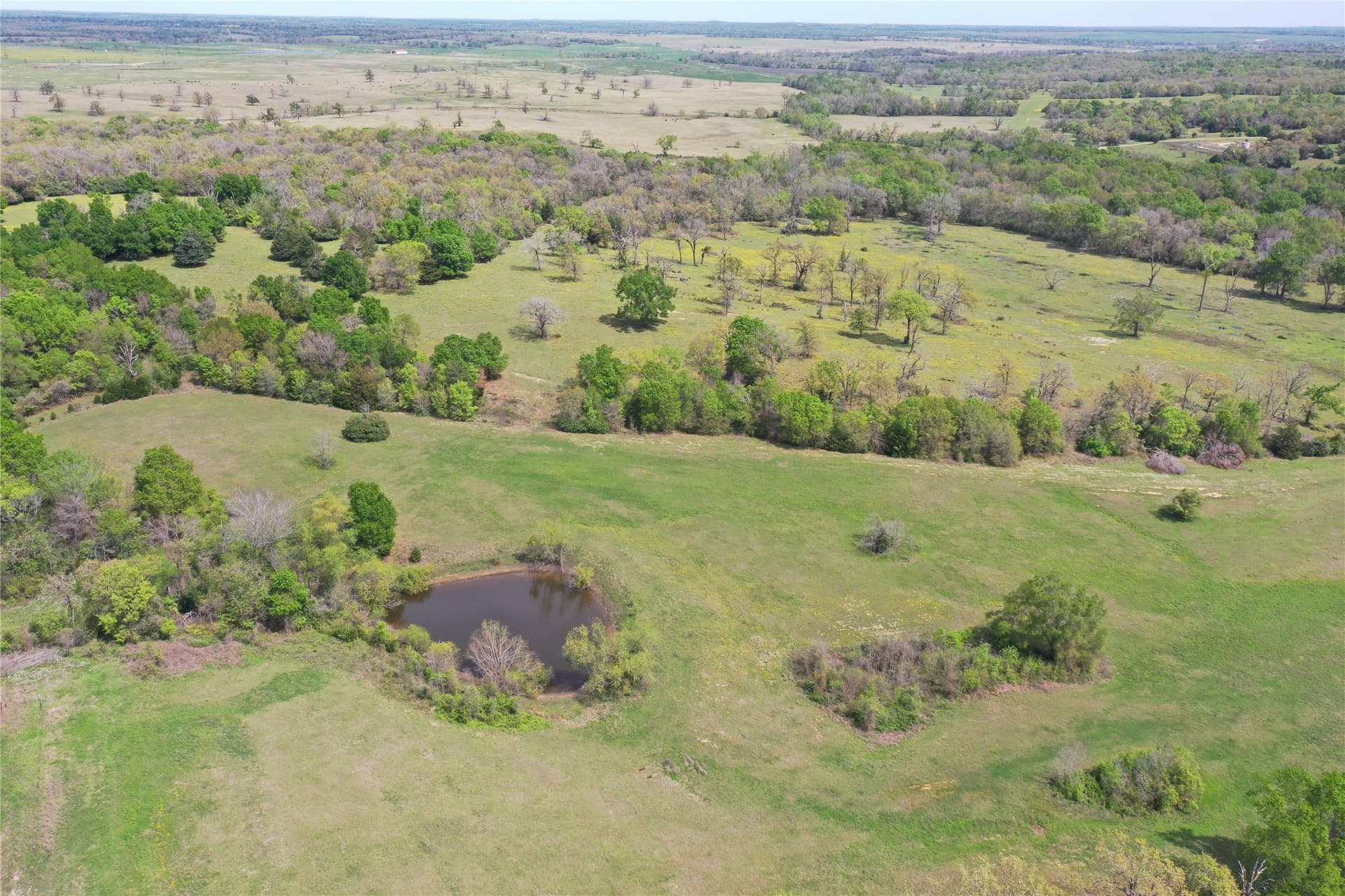 18.11 acres in Freestone County gallery image 4
