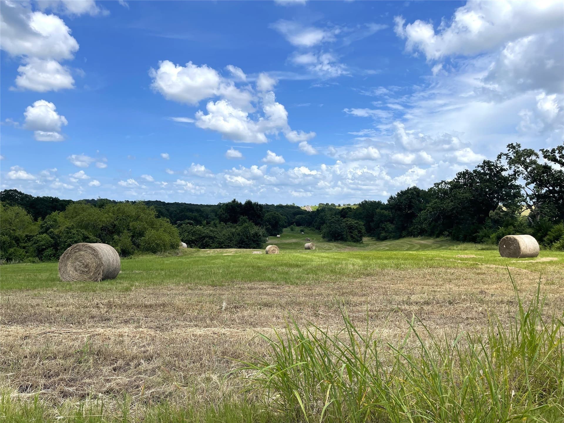 18.11 acres in Freestone County - photo 12