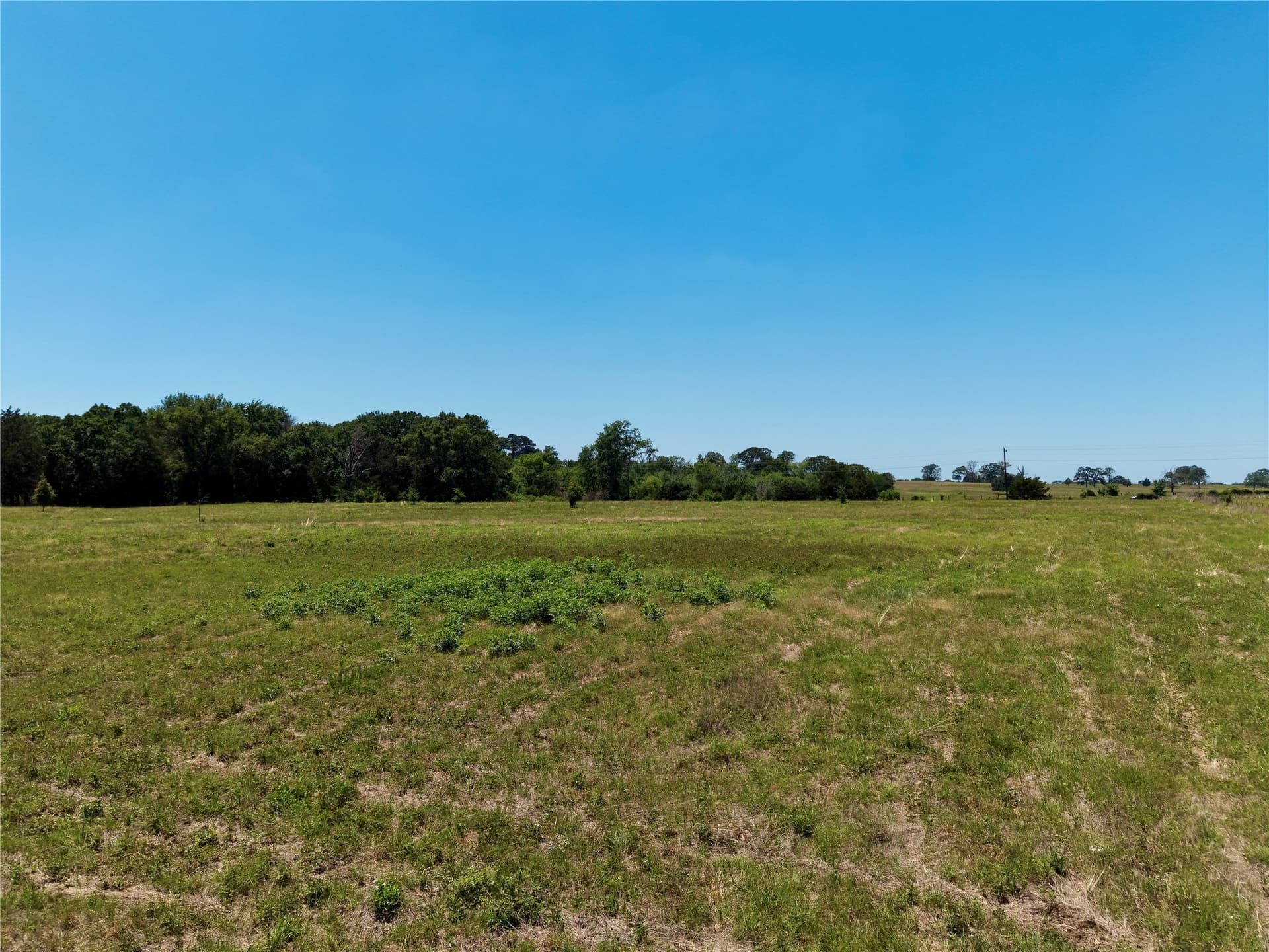7 acres in Henderson County - photo 10
