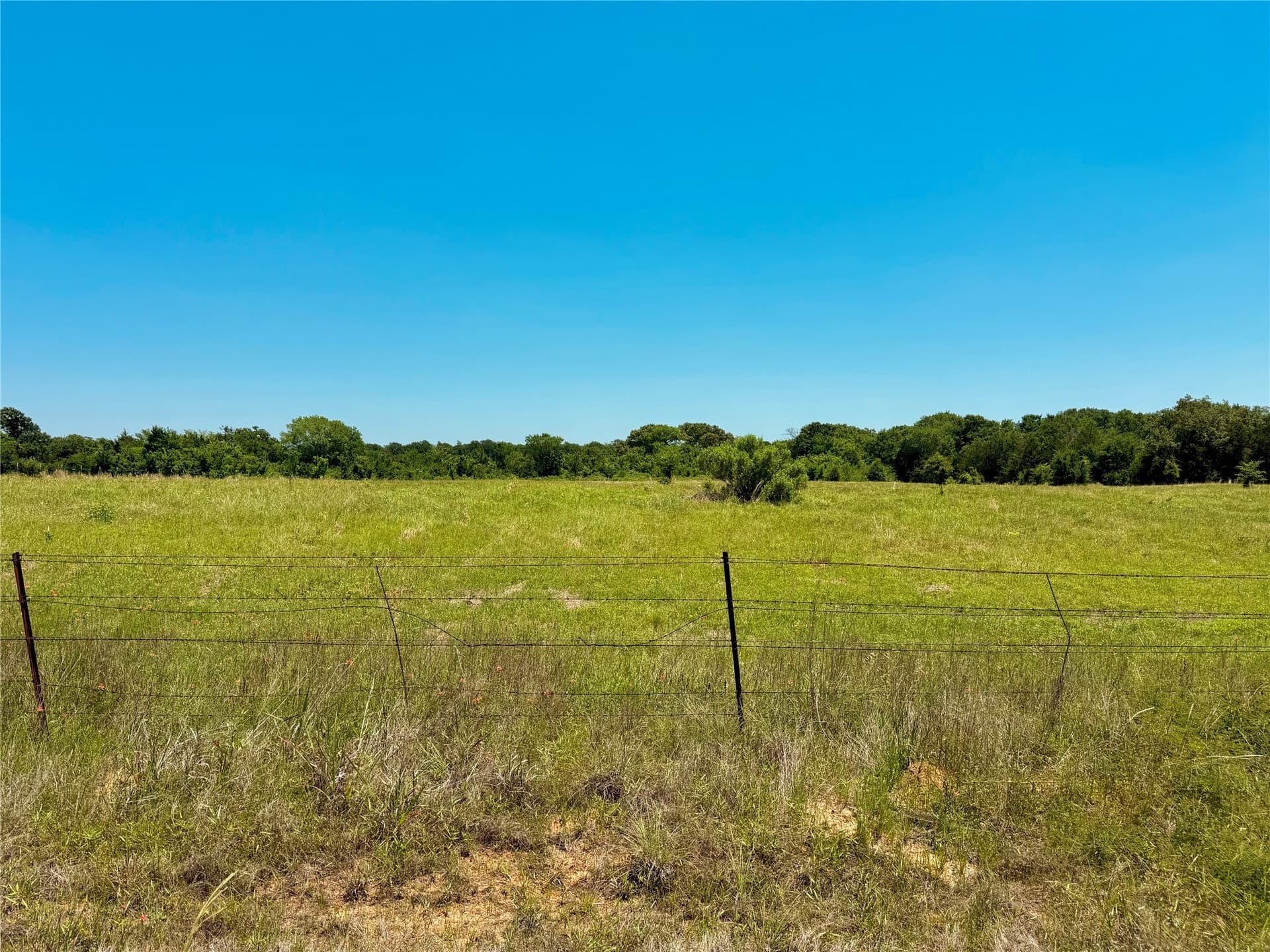 7 acres in Henderson County - photo 2
