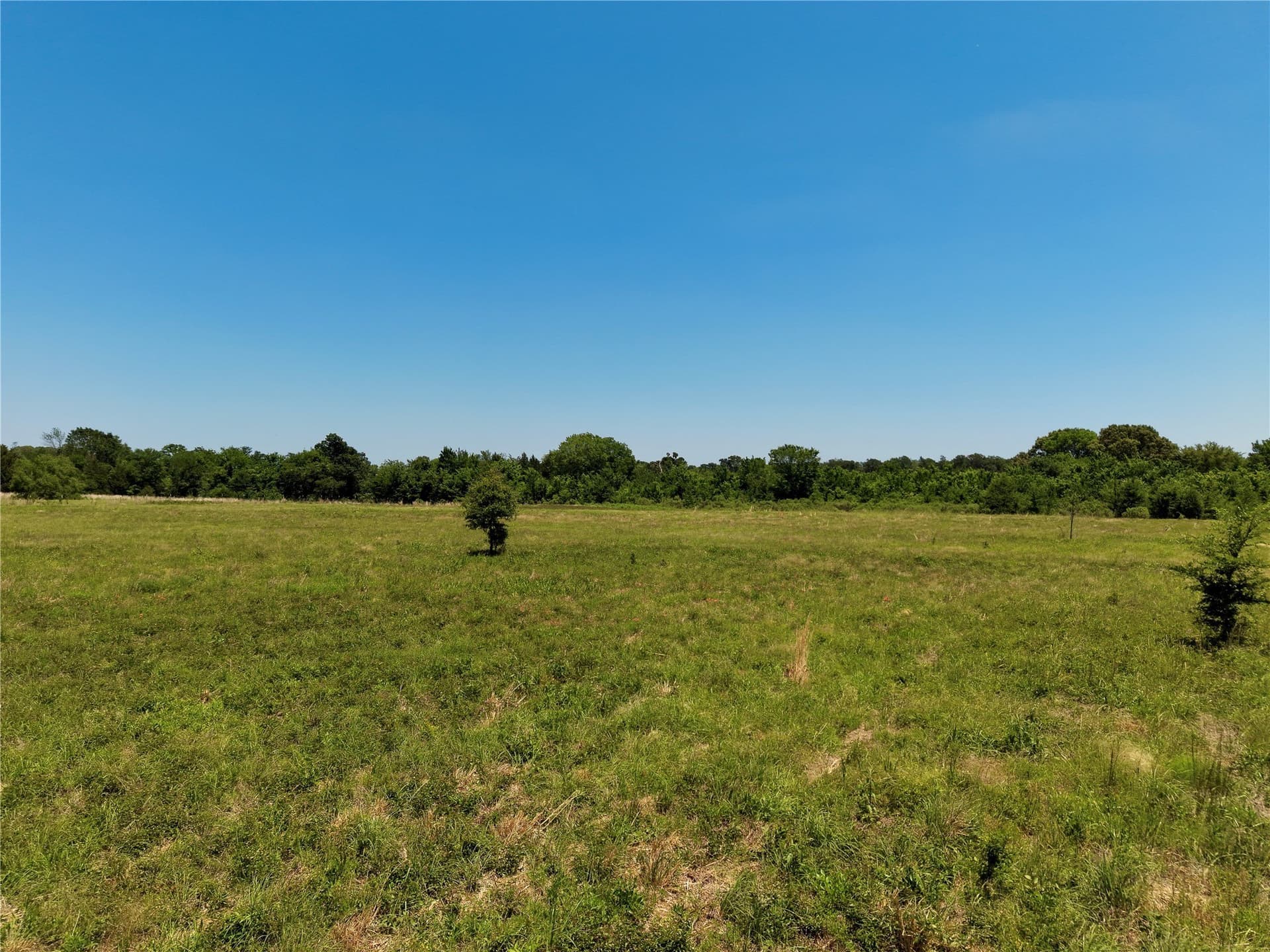 7 acres in Henderson County - photo 9