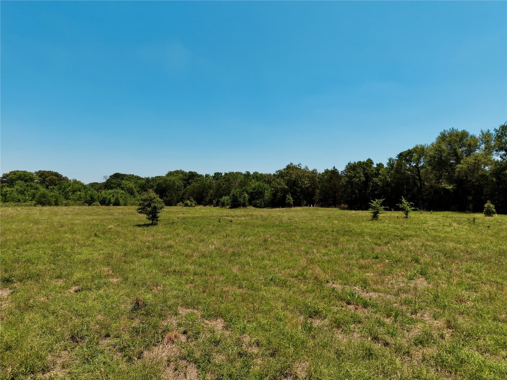 7 acres in Henderson County - photo 7