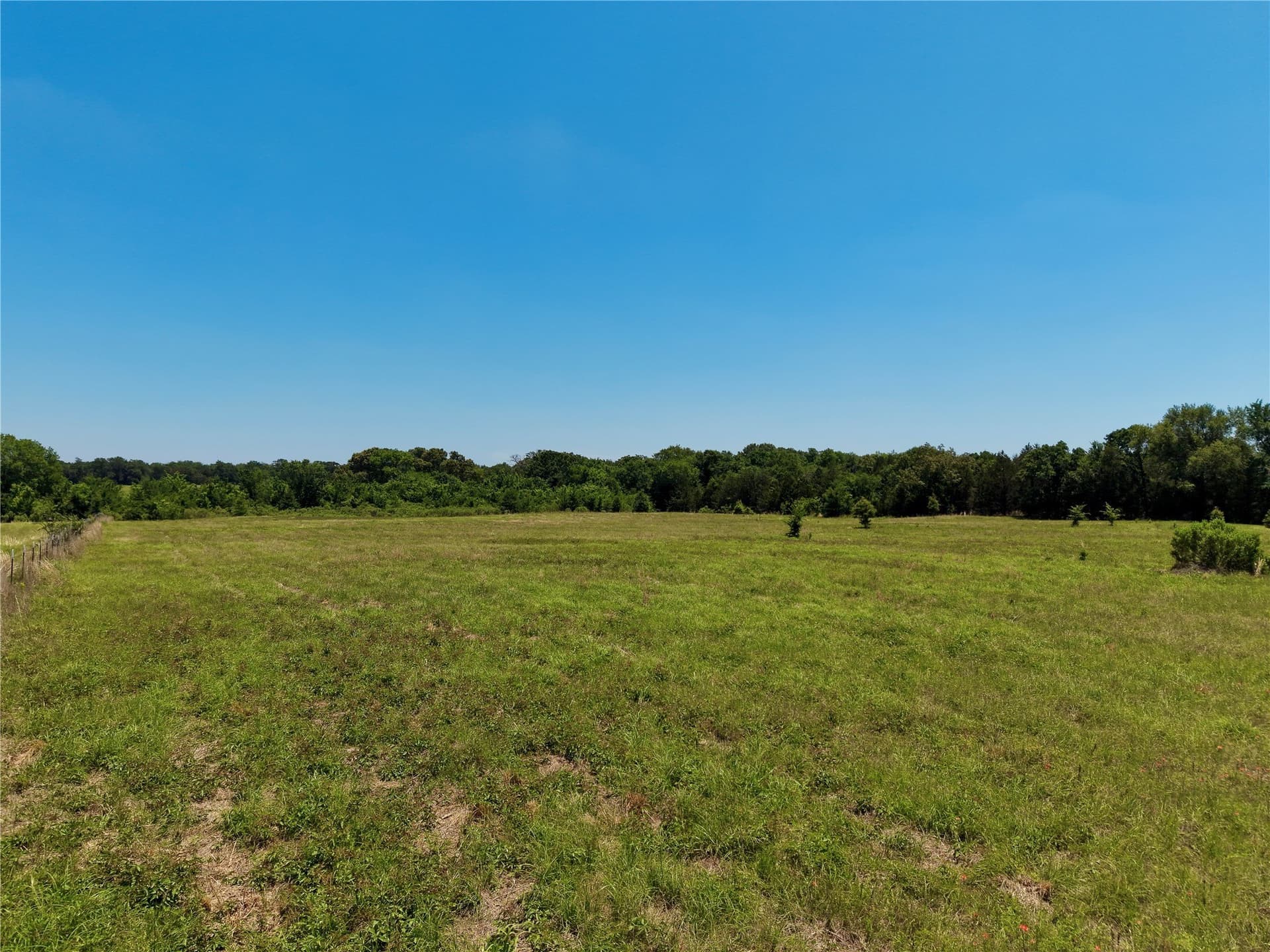 7 acres in Henderson County - photo 6
