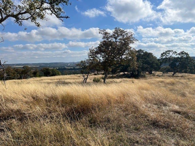 10.02 acres in Gillespie County - photo 7