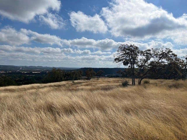 10.02 acres in Gillespie County gallery image 4