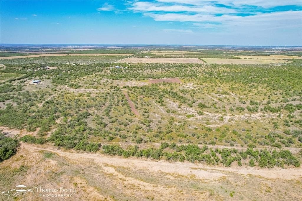 70 acres in Callahan County gallery image 4