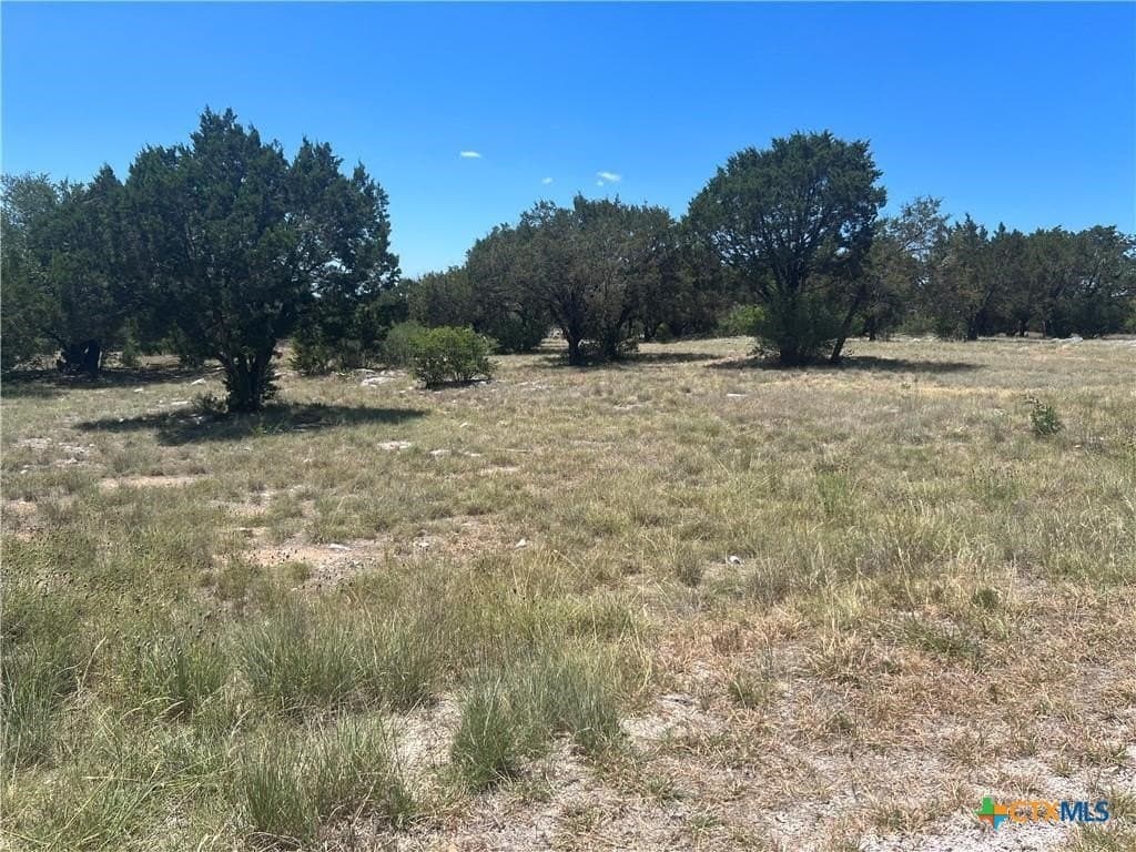 0.27 acres in Llano County - photo 7