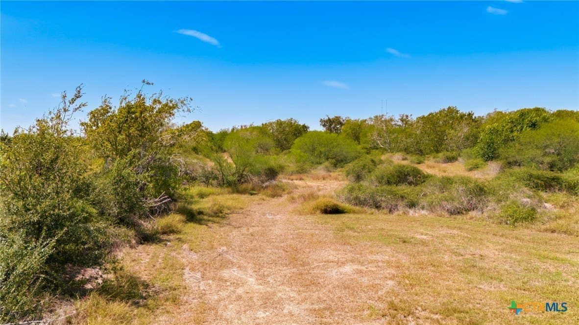 10 acres in Victoria County - photo 17