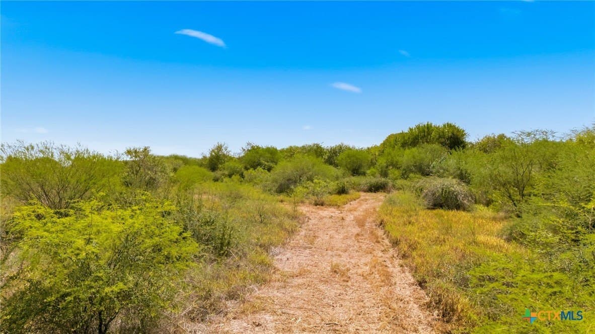 10 acres in Victoria County - photo 10
