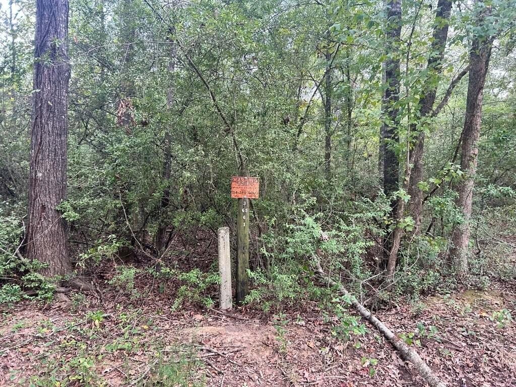 0.21 acres in Texas County - photo 4