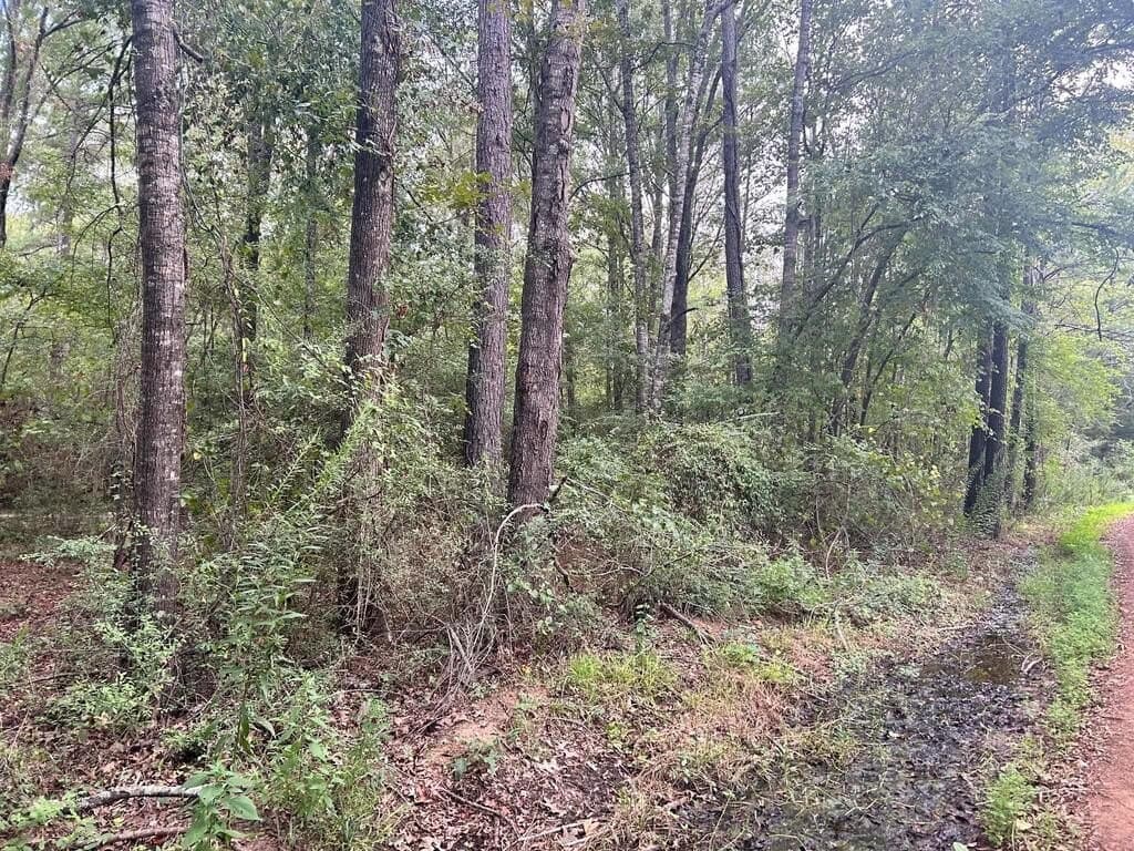 0.21 acres in Texas County - photo 3