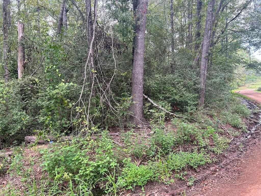 0.21 acres in Texas County - photo 2
