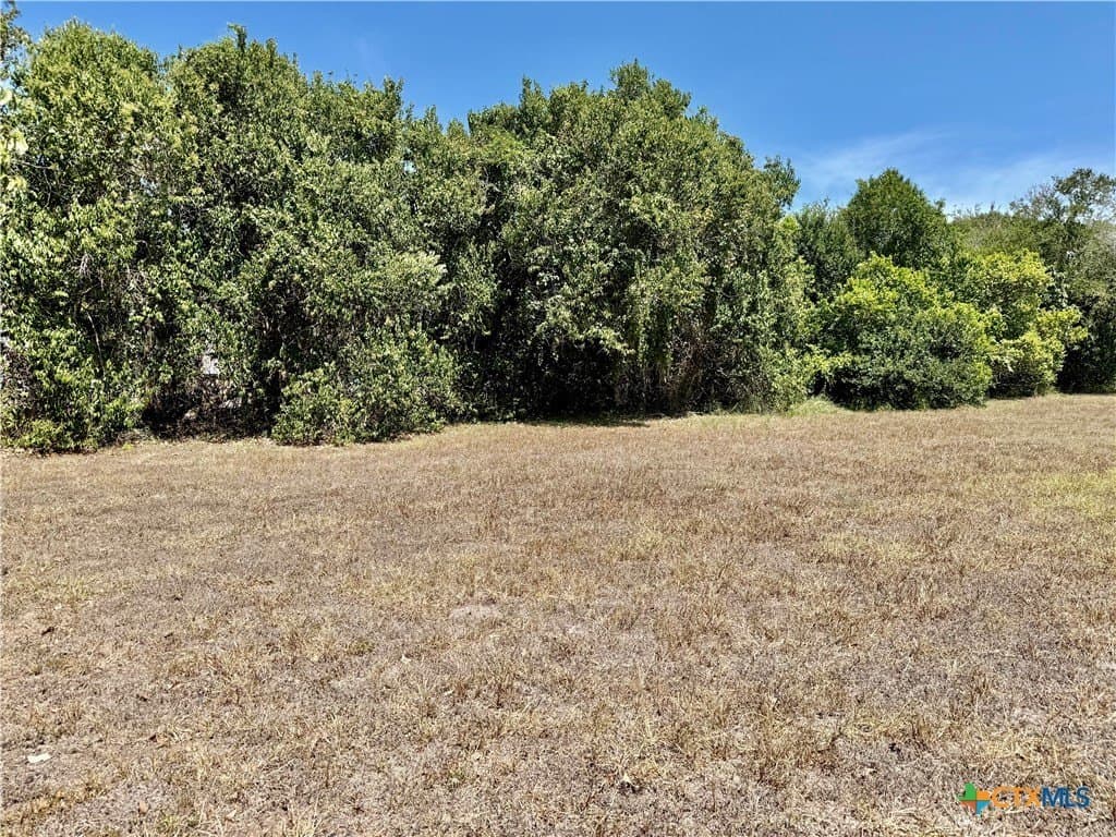 0.25 acres in Victoria County - photo 3