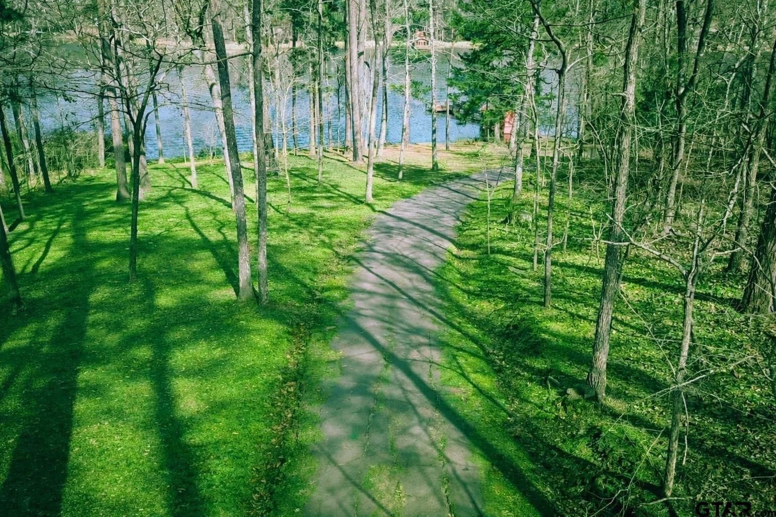 50 acres in Wood County - photo 39