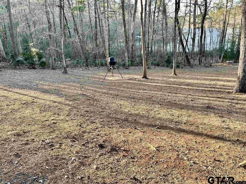 50 acres in Wood County - photo 35