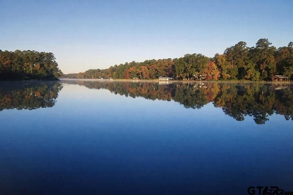 50 acres in Wood County - photo 36