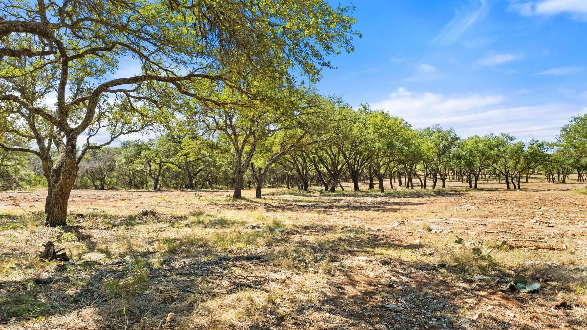 10 acres in Blanco County - photo 3
