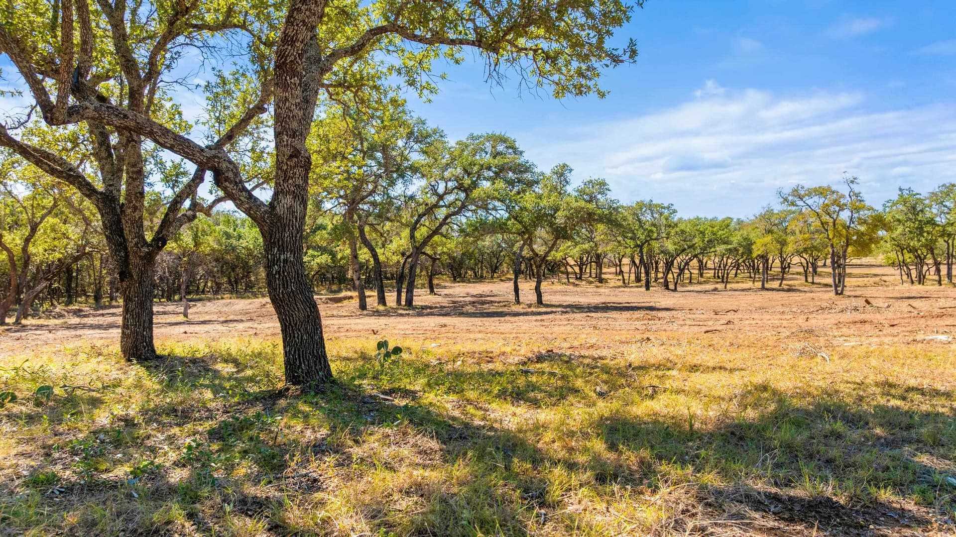 10 acres in Blanco County - photo 7