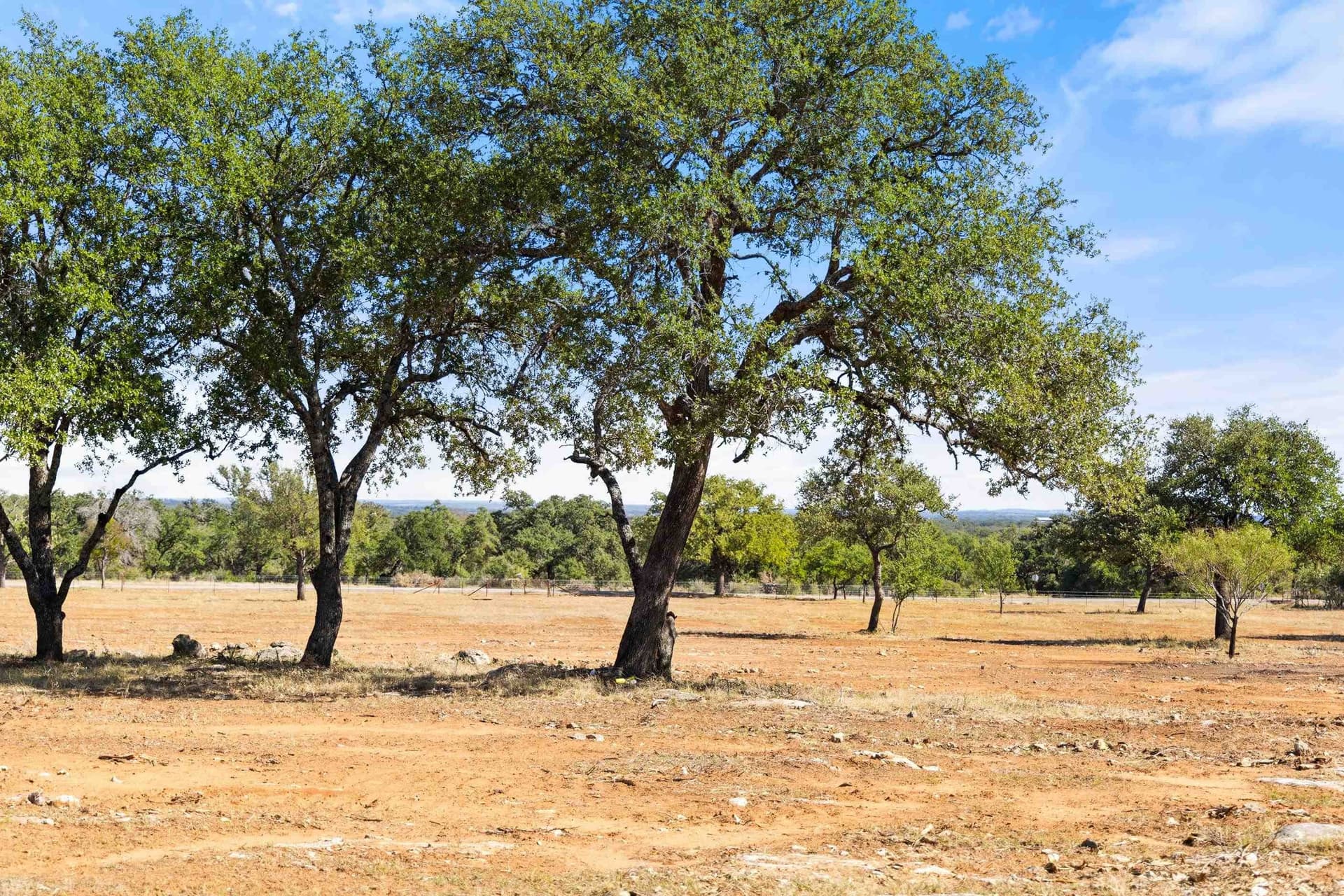 10 acres in Blanco County - photo 2