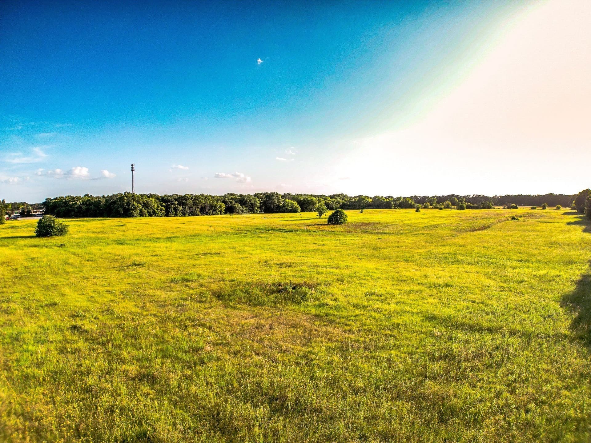 30 acres in Henderson County - photo 19