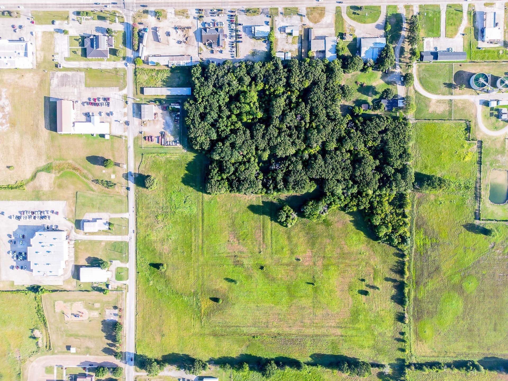 30 acres in Henderson County - photo 15