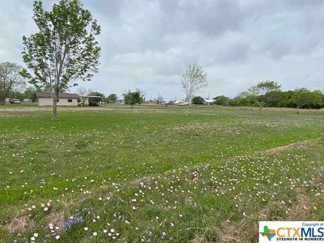 0.48 acres in Calhoun County - photo 3
