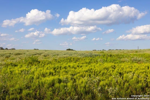 10 acres in Guadalupe County gallery image 4