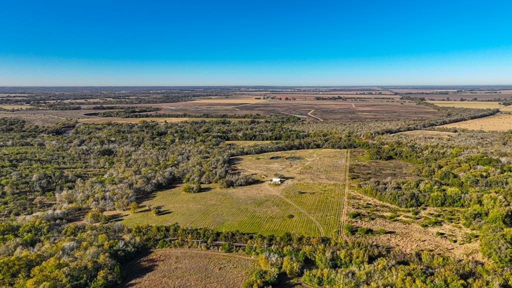 54.8 acres in Grimes County
