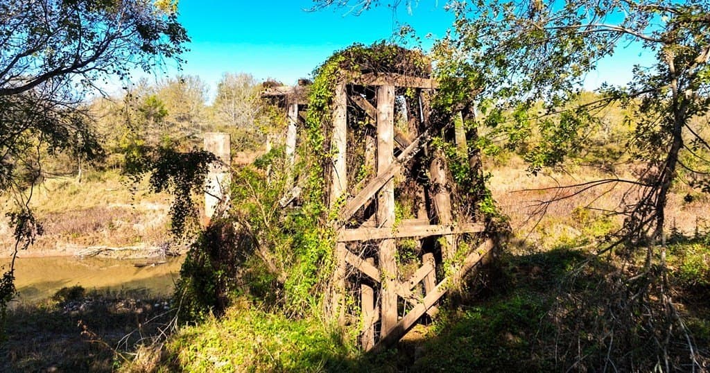 54.8 acres in Grimes County featured view