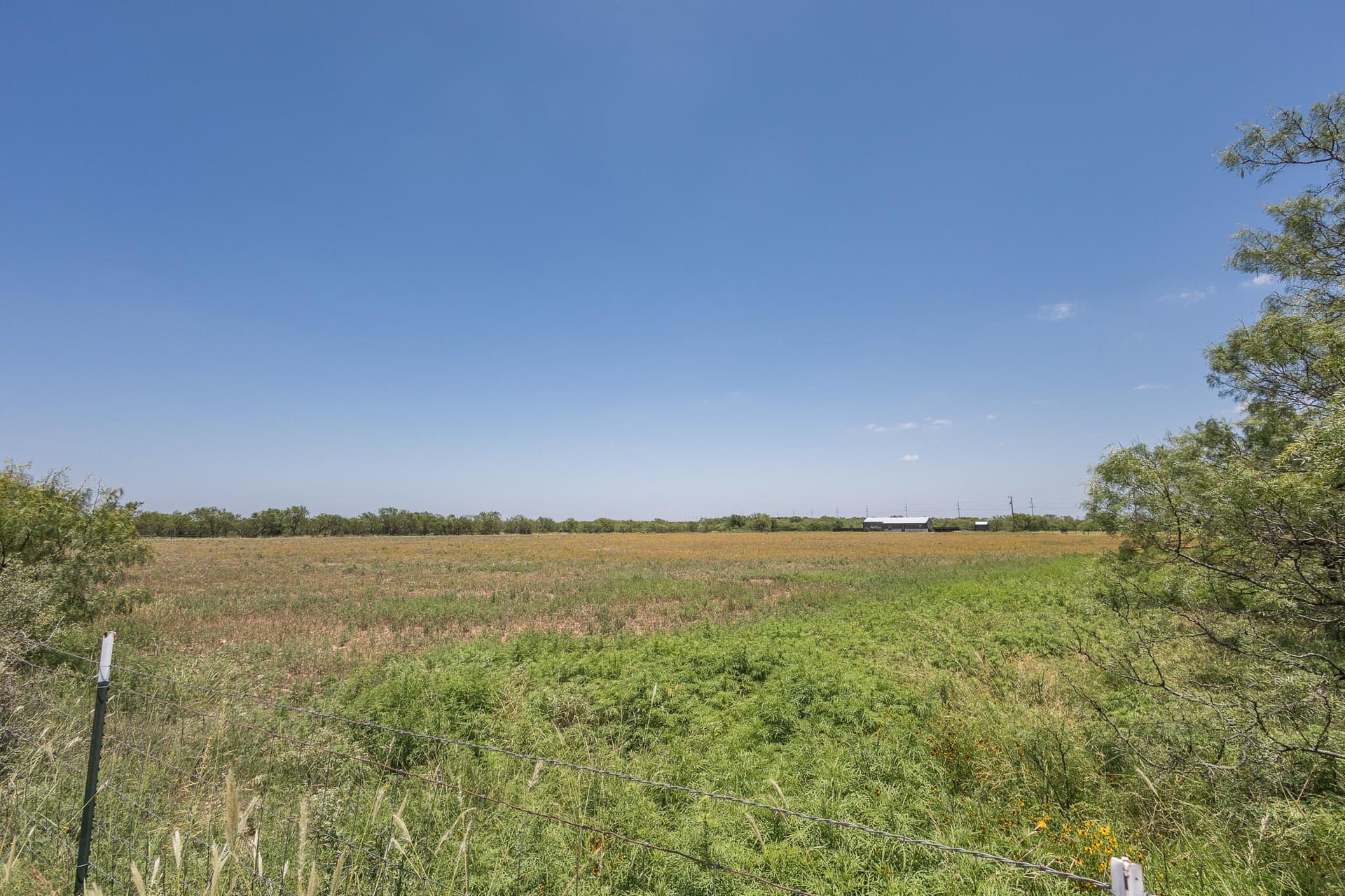 20 acres in Tom Green County featured view